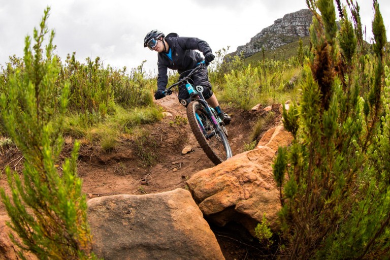 A walking trail in the Helderberg above Somerset West