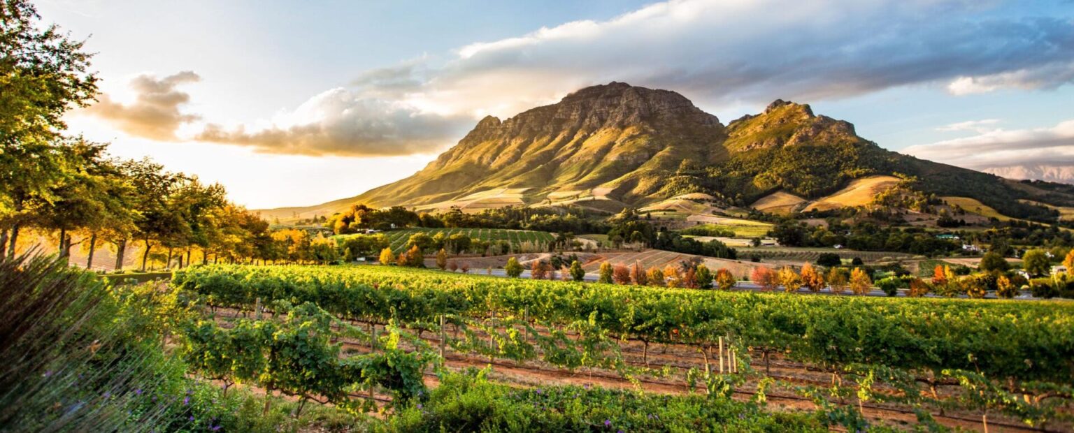 Top 10 Things to Do in the Western Cape