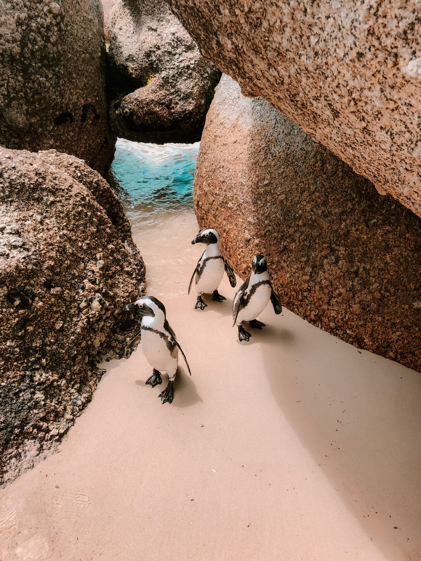 Two penguins beside a granite boulder on the beach at Boulders