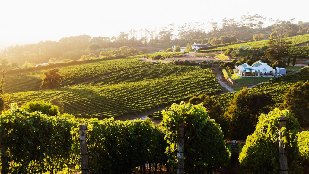 Safaris Near Somerset West