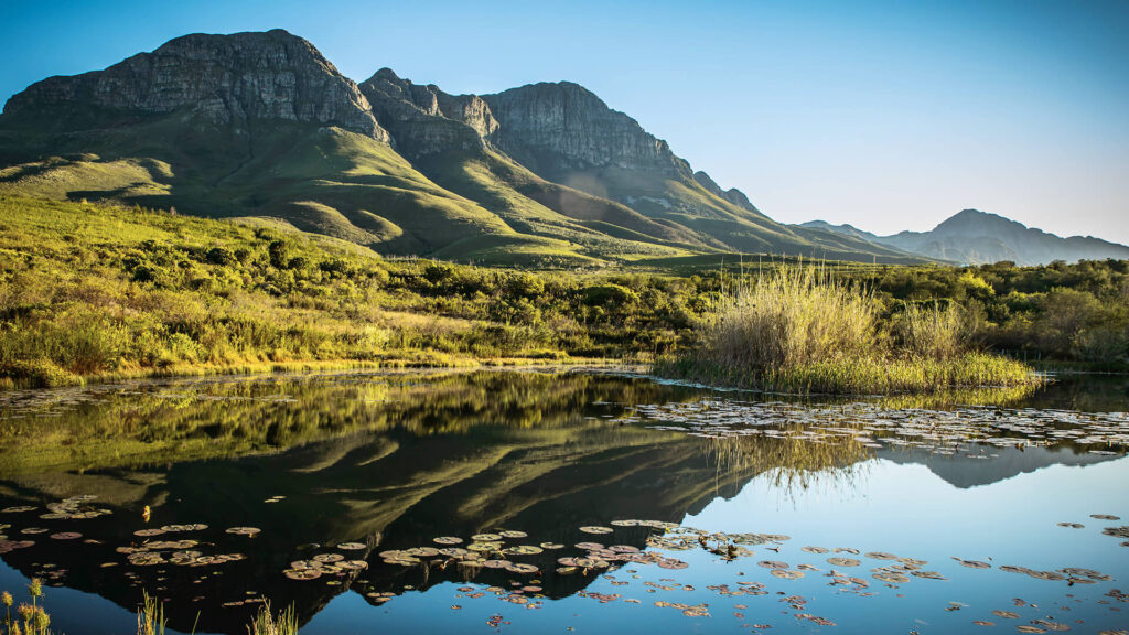 Hiking trails in the Helderberg Nature Reserve