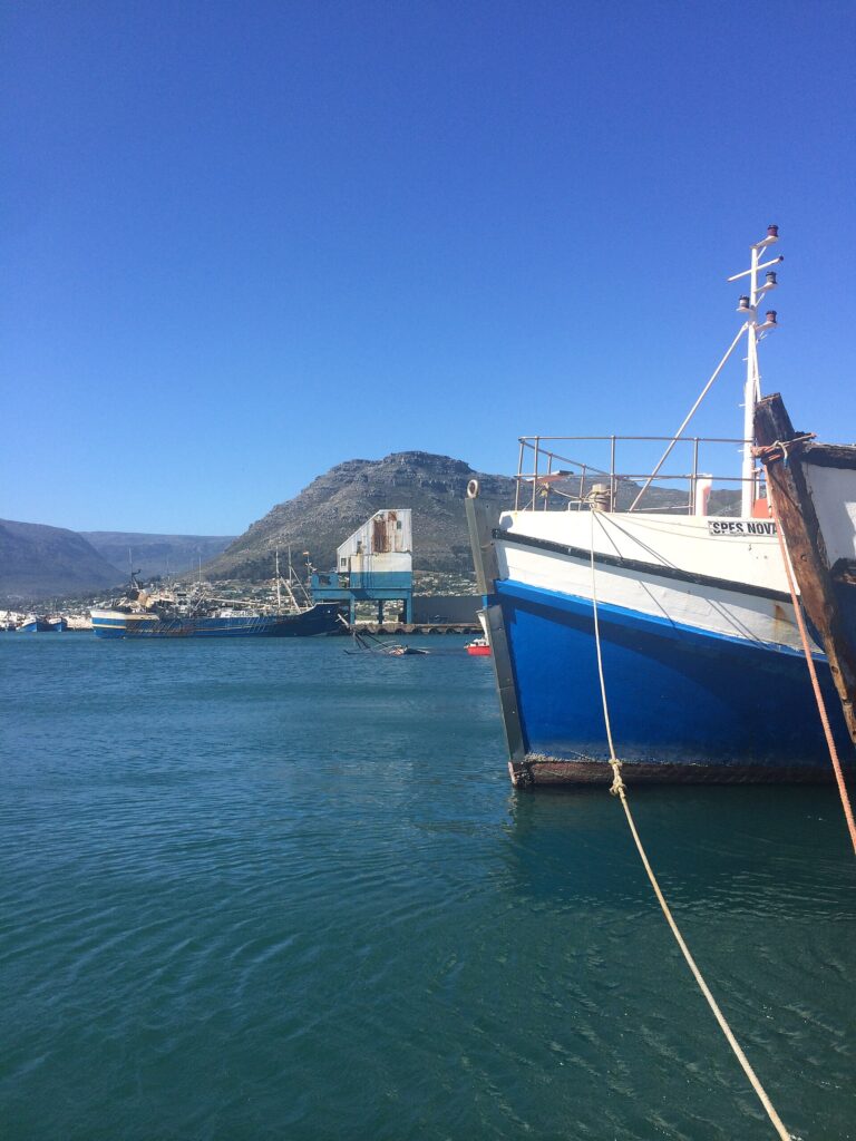 Die Fischereiflotte in einem Kaphafen