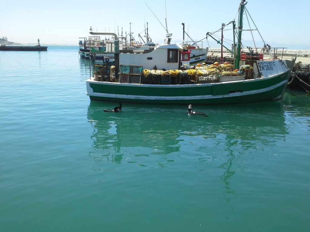 Fischerboote in einem Hafen an der False Bay