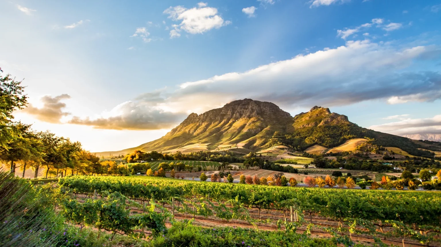 Top 10 Things to Do in Somerset West