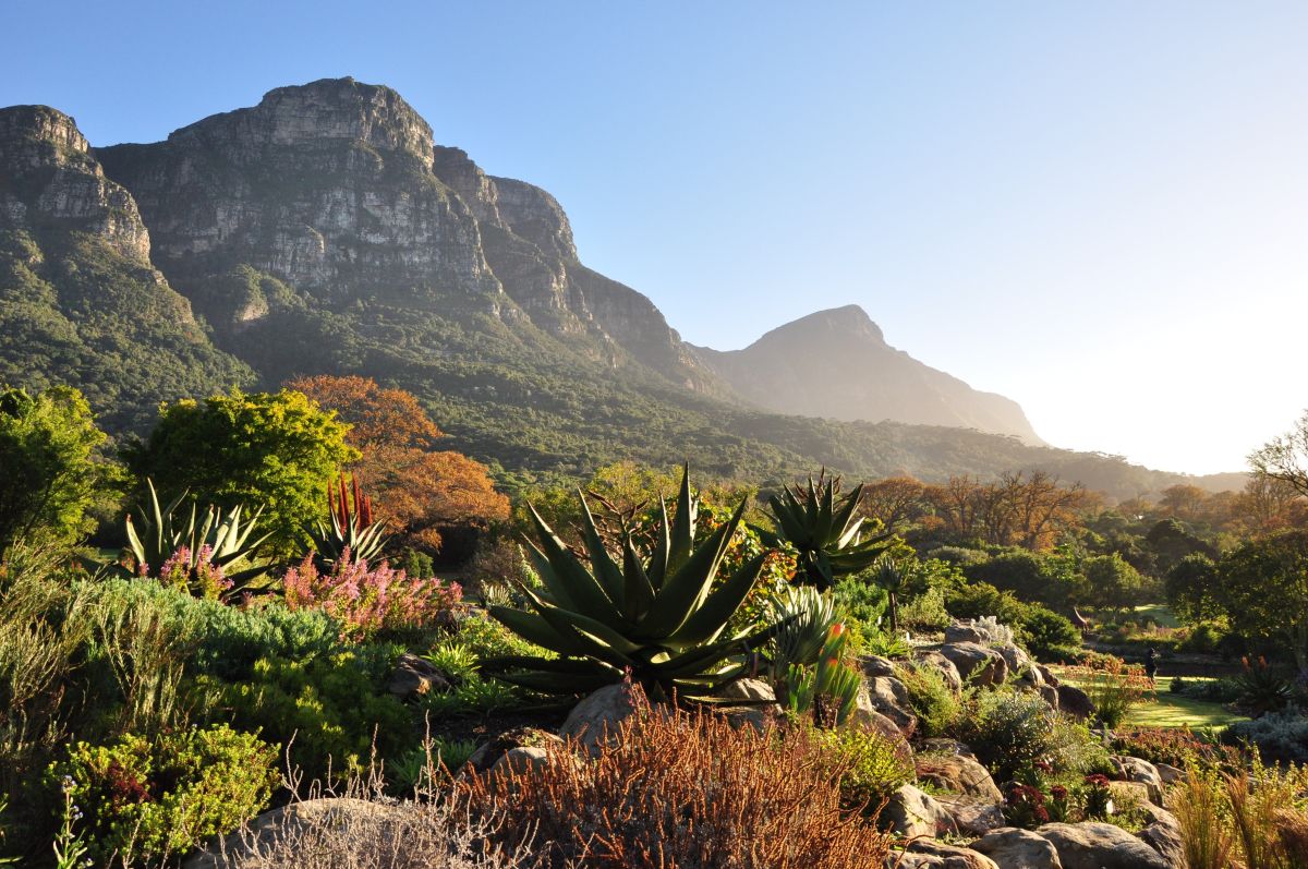Top 10 Things to Do in Cape Town