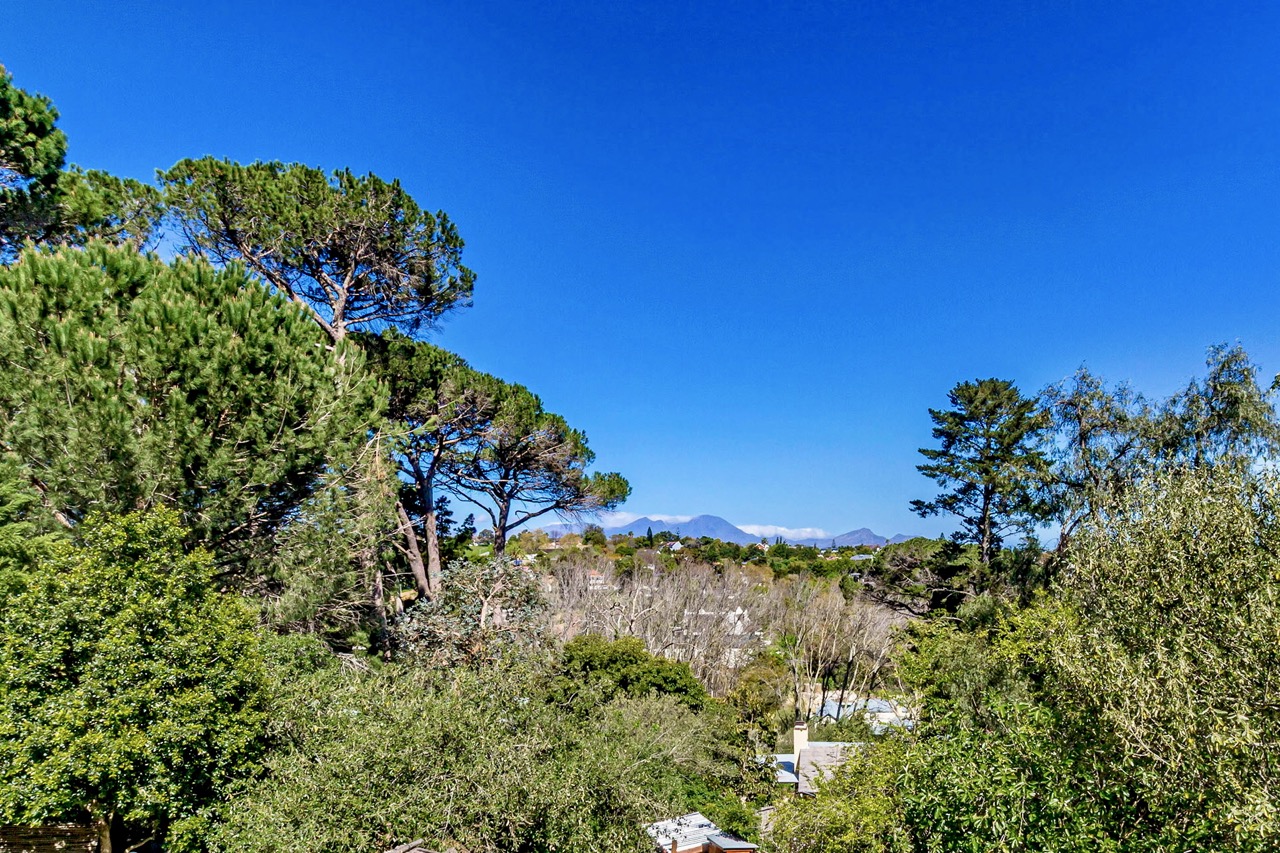 Blick vom Grundstück über die Baumkronen zu den Bergen