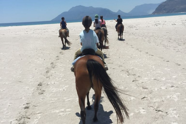 Horse riding Western Cape: riders on Noordhoek beach below Chapman's Peak