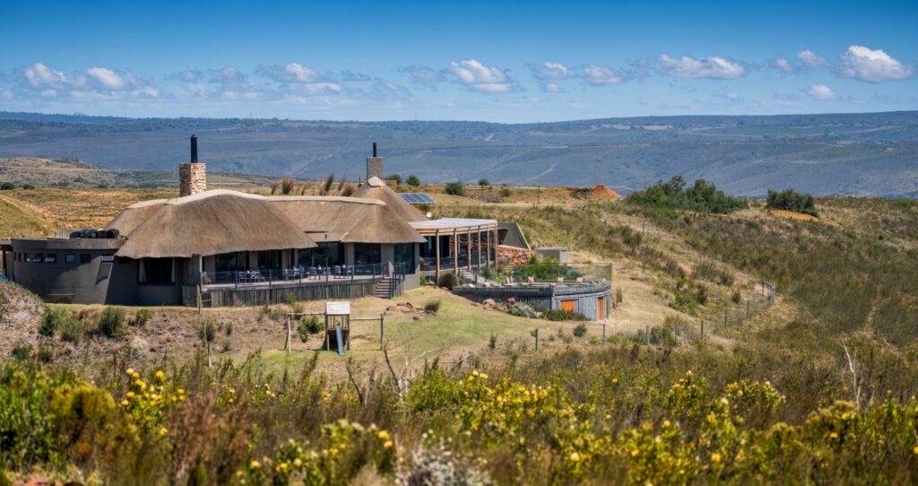 Lehele Lodge im Fynbos des Gondwana Game Reserve