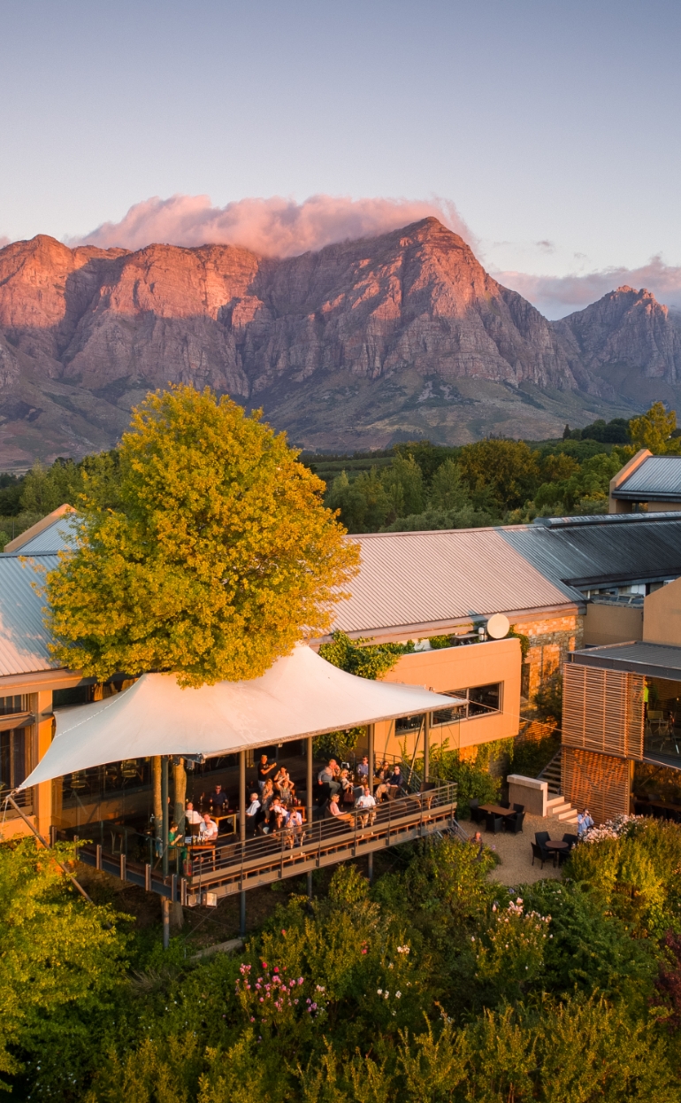 Stellenbosch wine farms: the Tokara restaurant terrace below the mountains