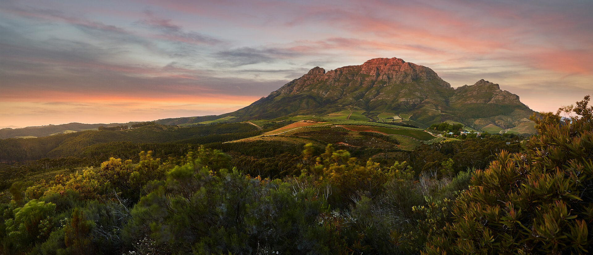 Stellenbosch wine farms: sunset over the vineyards and mountains at Tokara