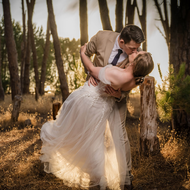 Cape Winelands wedding venues: a bride and groom in the pine forest at Winery Road Forest